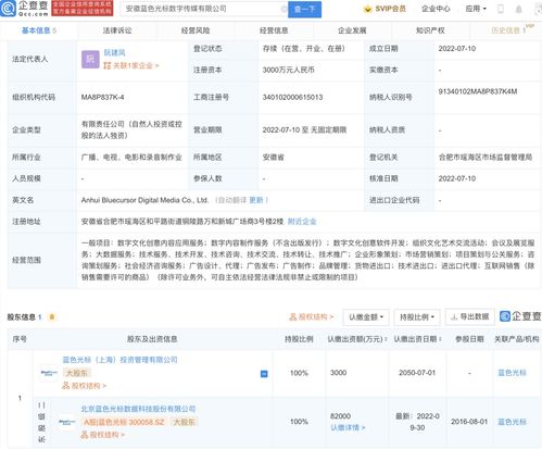 数字文化创意内容应用服务的兴起与发展